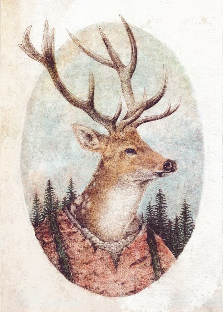 Deer In A Rustic Outfit by Mike Koubou — canvas wall art