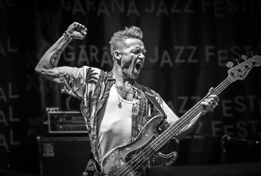 Passionate Bass Player by Dragoslav Nedici — canvas wall art