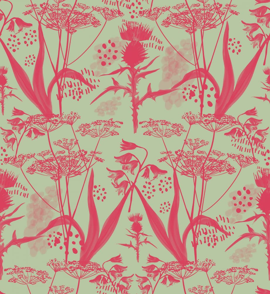 Pink Thistle Pattern by Charlotte Trudgett — canvas wall art