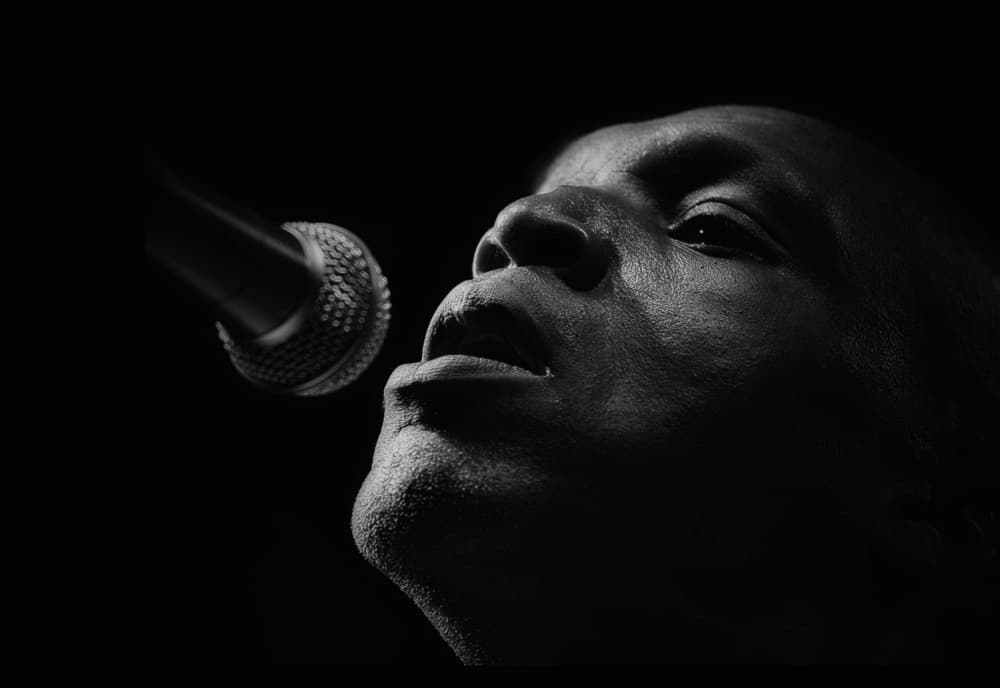 Soulful Singer Performance by Dragoslav Nedici — canvas wall art