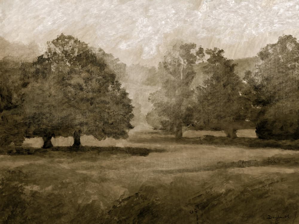 Castle Grounds by Dan Hobday — canvas wall art