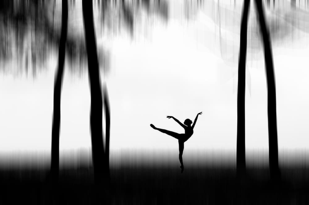 Graceful Forest Ballet by Bocah Bocor — canvas wall art