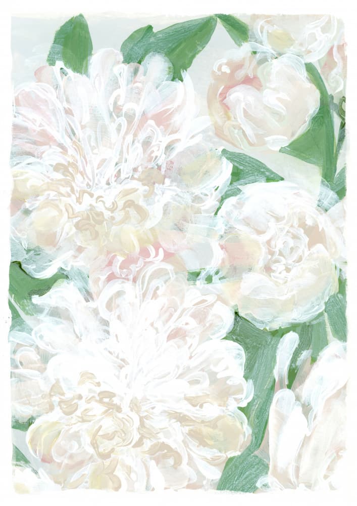 Soft White Peonies by Rosana Laiz Blursbyai — canvas wall art