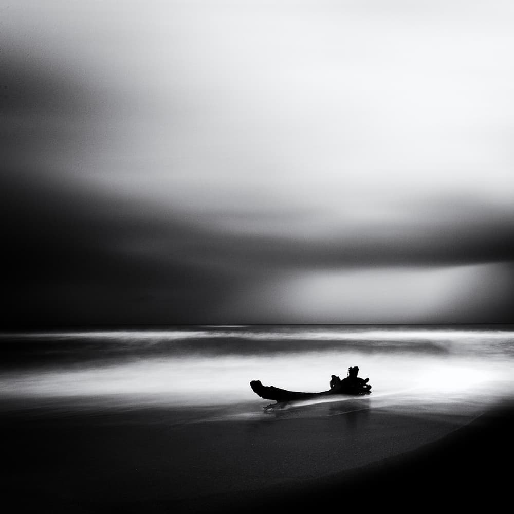 Serene Beach Driftwood by Massimo Della Latta — canvas wall art
