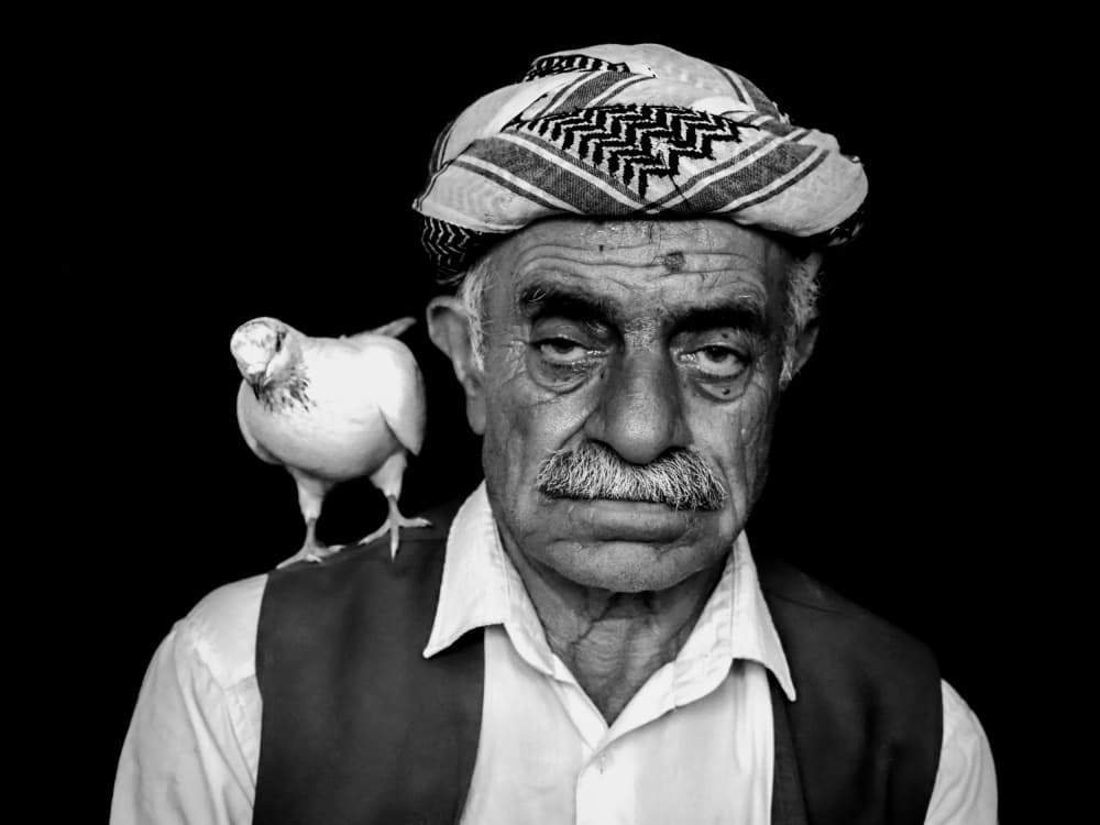 Old Man With Pigeon by Bünyamin çadırcı — canvas wall art