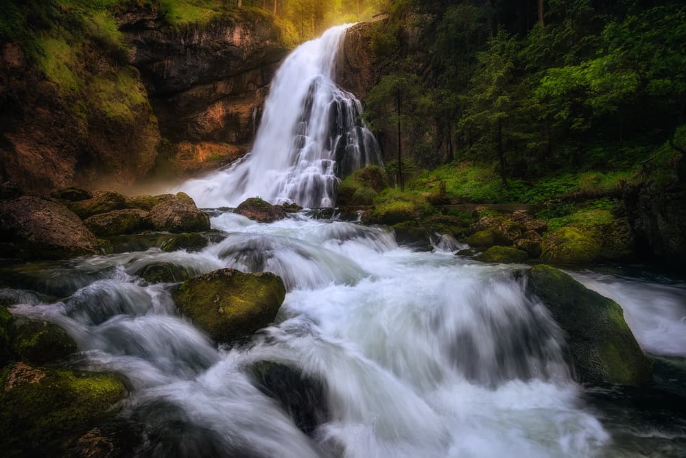 Radiant Forest Waterfall by Daniel Gastager — canvas wall art