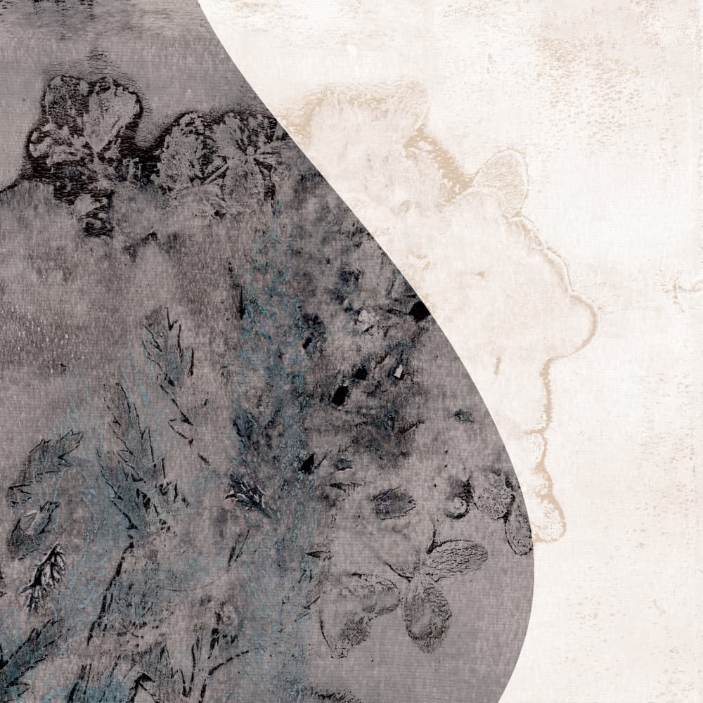 Fluid Organic Layers by Dina Dankers — canvas wall art