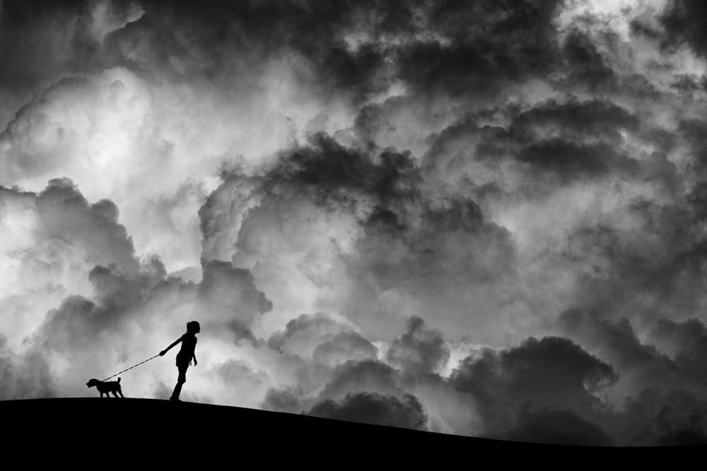 Stormy Sky Dog Walk by Hengki Lee — canvas wall art
