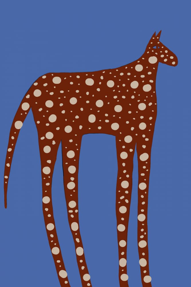 Spotted Long Legged Horse by The Art Concept — canvas wall art