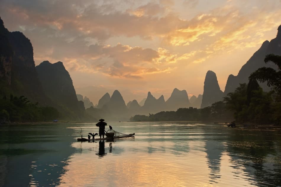 Cormorant Fishing Golden Hour by Yan Zhang — canvas wall art