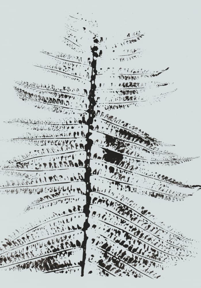 Black Ink Fern by Maira Ribena — canvas wall art