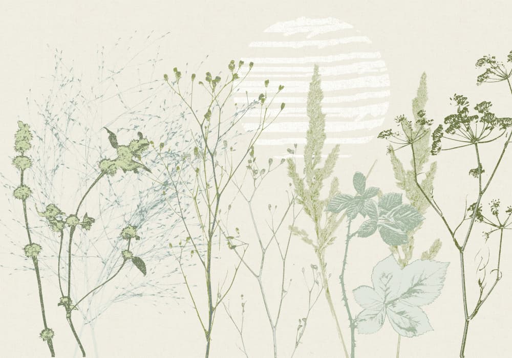 Muted Botanical Sunrise by Annick — canvas wall art