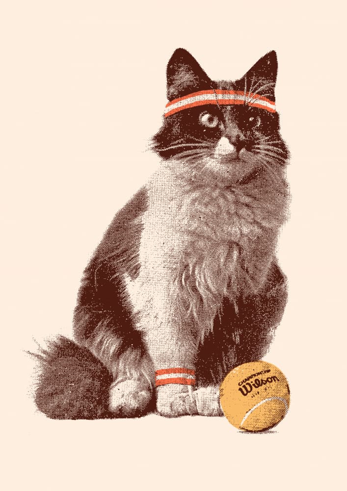 Retro Tennis Cat by Florent Bodart — canvas wall art