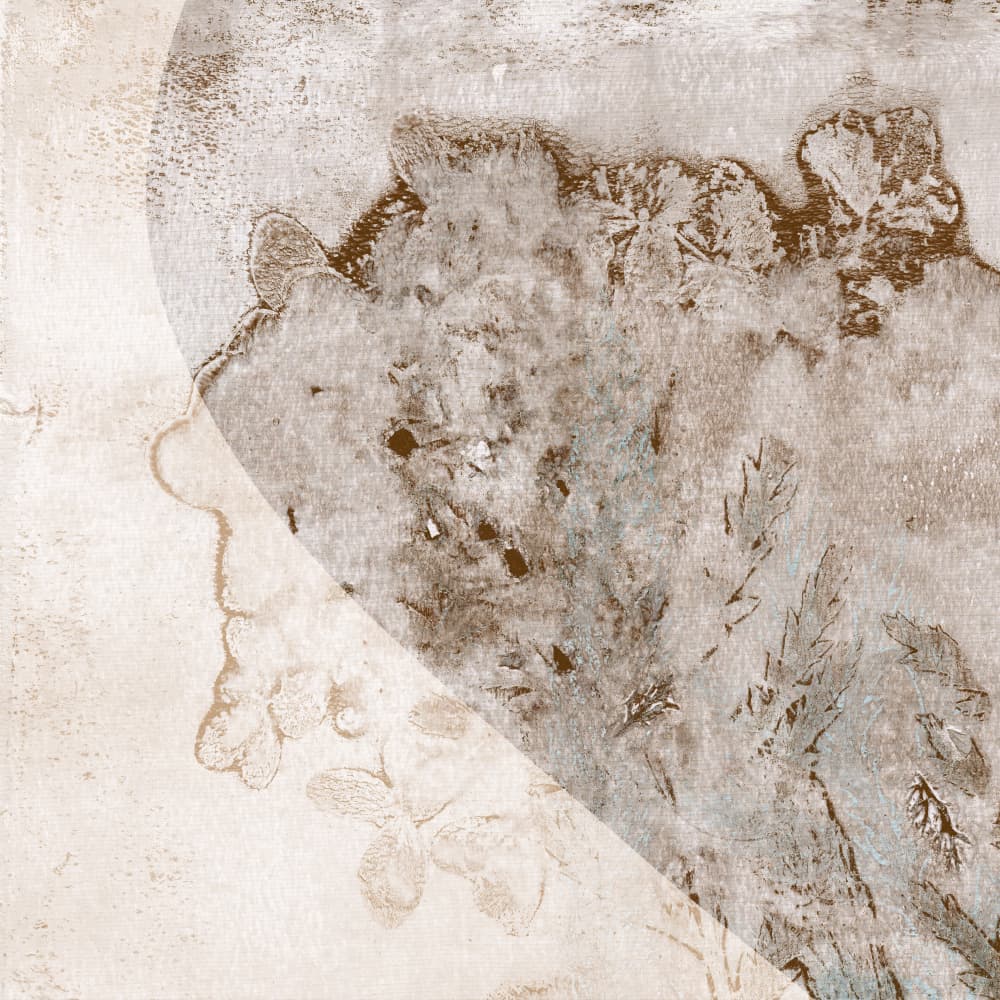 Faded Botanical Impressions by Dina Dankers — canvas wall art