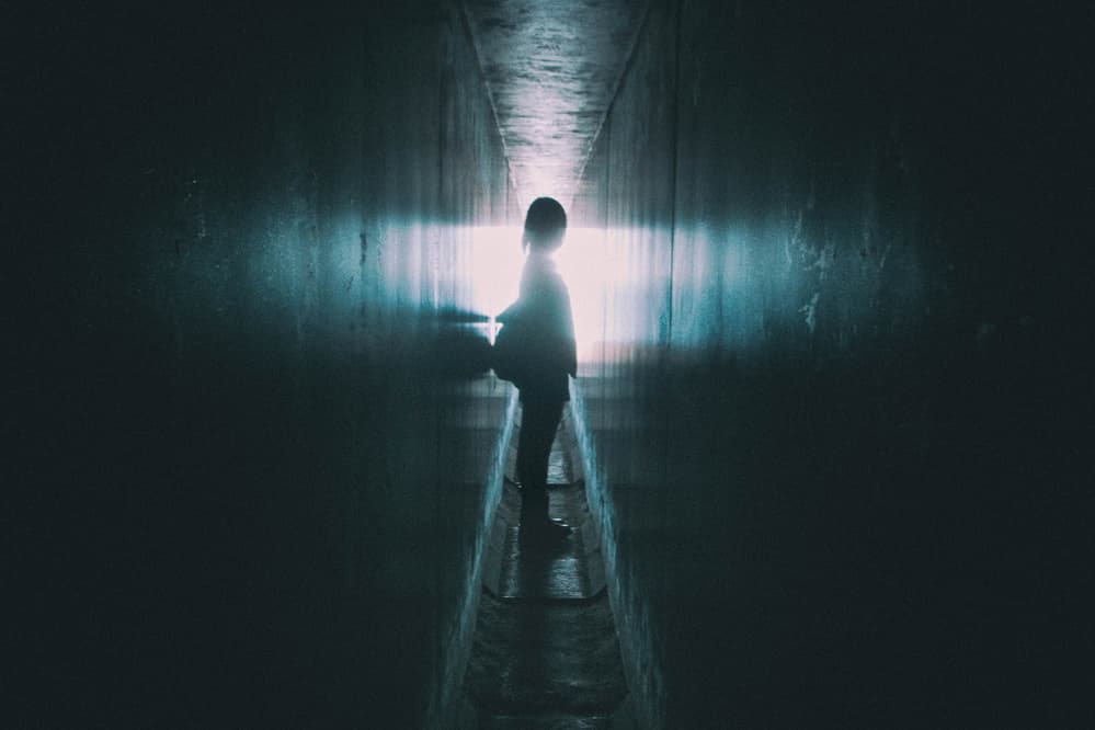 Path Through Light by Koji Sugimoto — canvas wall art
