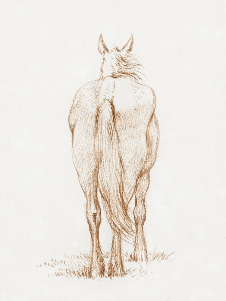 Standing Horse (1815) By Jean Bernard by Jean Bernard — canvas wall art