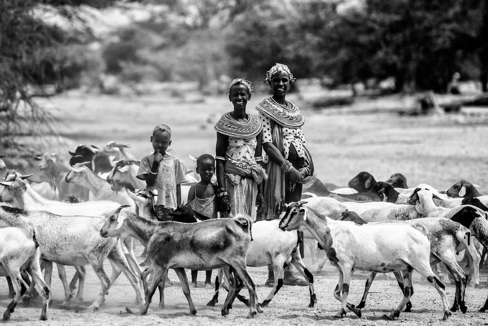 African Family and Goats by Vedran Vidak — canvas wall art