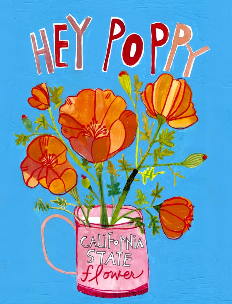 Hey Poppy by Sharon Nullmeyer — canvas wall art