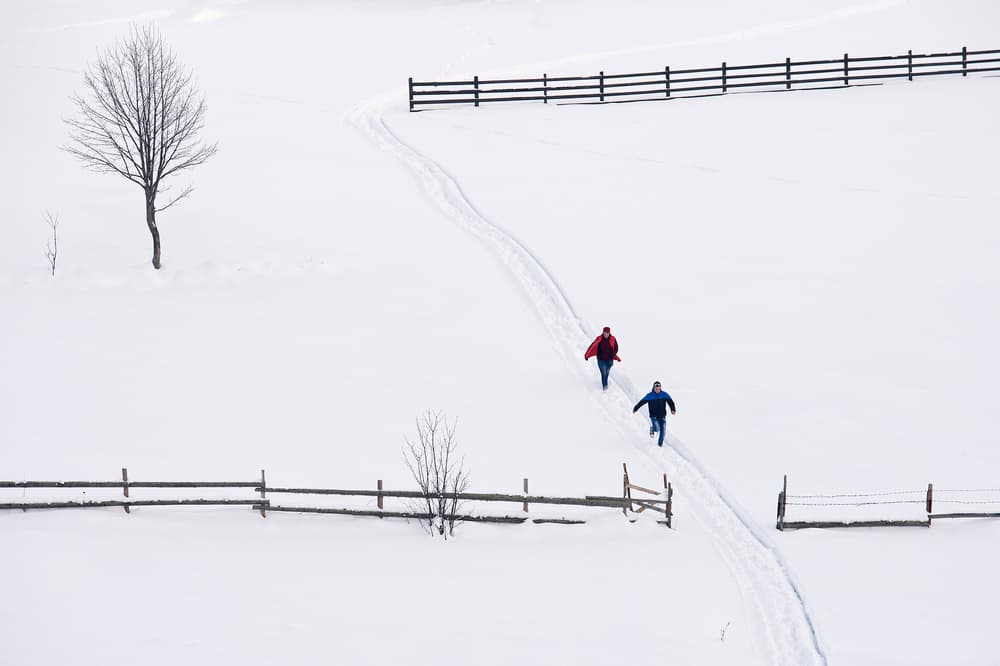 Snowy Path Journey by Vlad Dumitrescu — canvas wall art