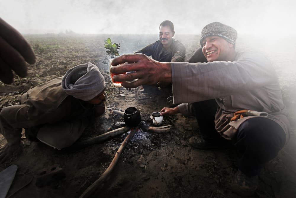 Joyful Field Tea Break by Mohamed Fawzy Kutp — canvas wall art