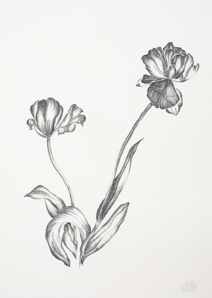 Graceful Botanical Tulips by Mette Rix — canvas wall art