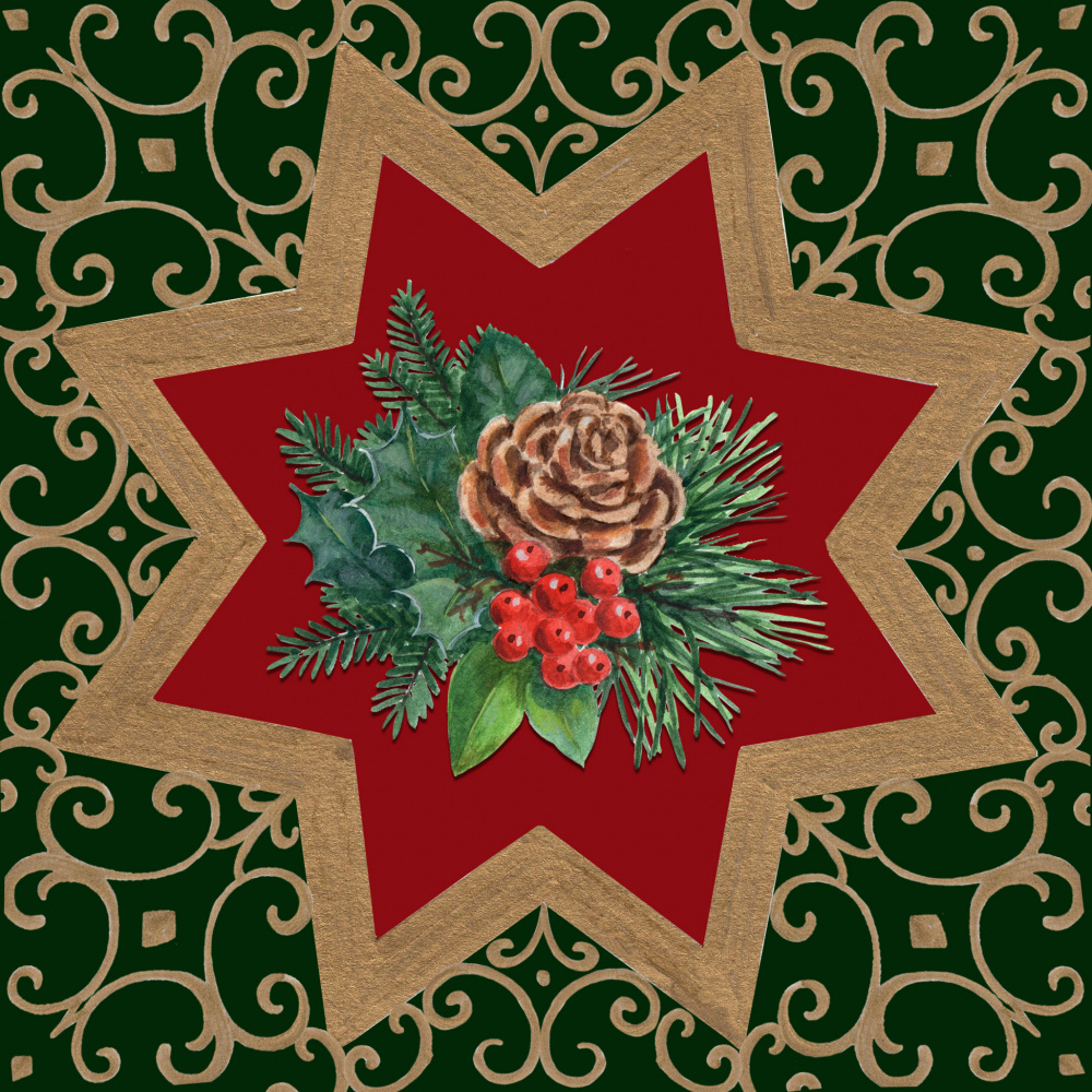 Golden Christmas Star by Renate Holzner — canvas wall art