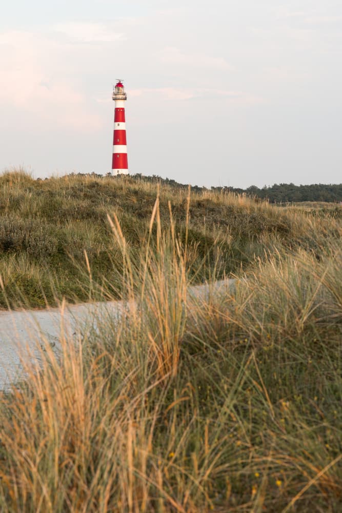 Lighthouse Amidst Golden Dunes by Mayra Pama — canvas wall art