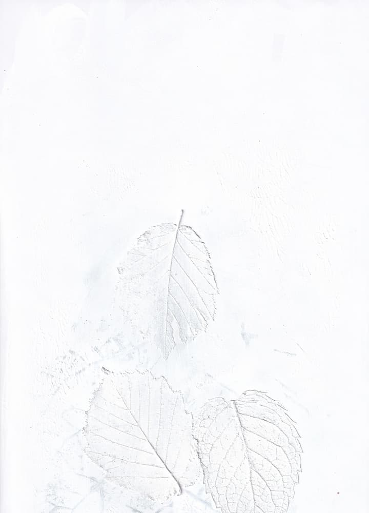 Ethereal White Leaves by Maira Ribena — canvas wall art