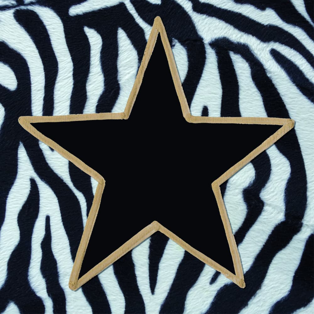 Black Star Zebra Print by Renate Holzner — canvas wall art