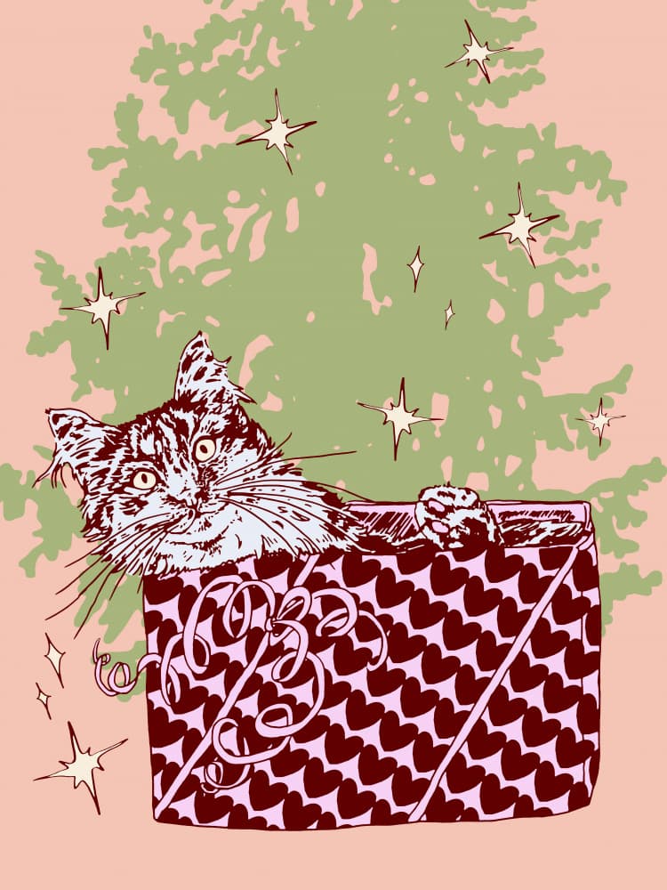 Christmas Cat Surprise by Katariina Kosunen — canvas wall art
