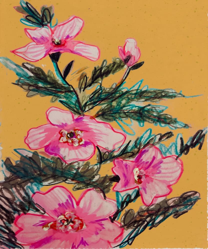 Vibrant Pink Blooms by Alyssa Hamilton — canvas wall art