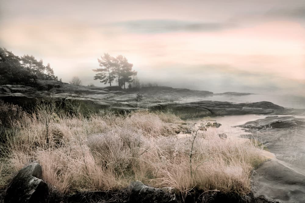 Misty Winter Shore by Christina Sillen — canvas wall art