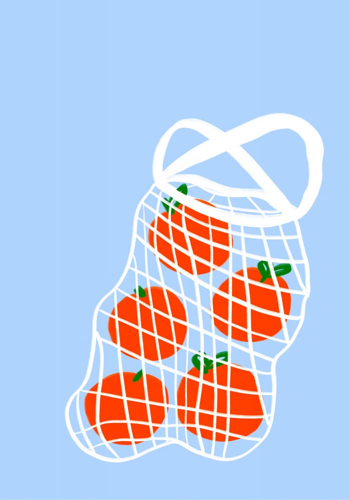 Tomatoes in Mesh by Athene Fritsch — canvas wall art