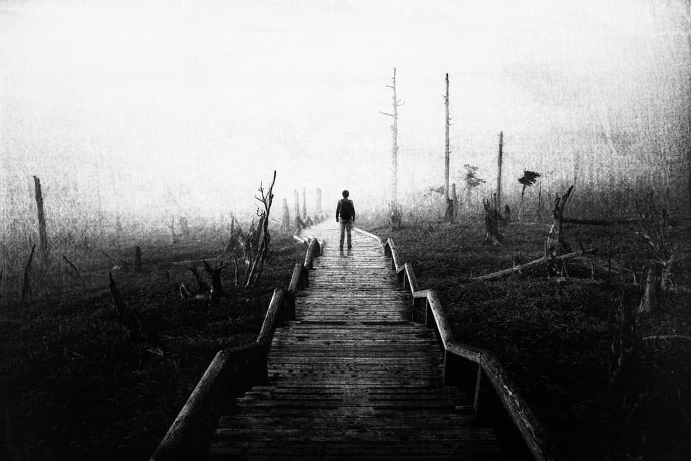 Solitary Path into the Fog by Koji Sugimoto — canvas wall art