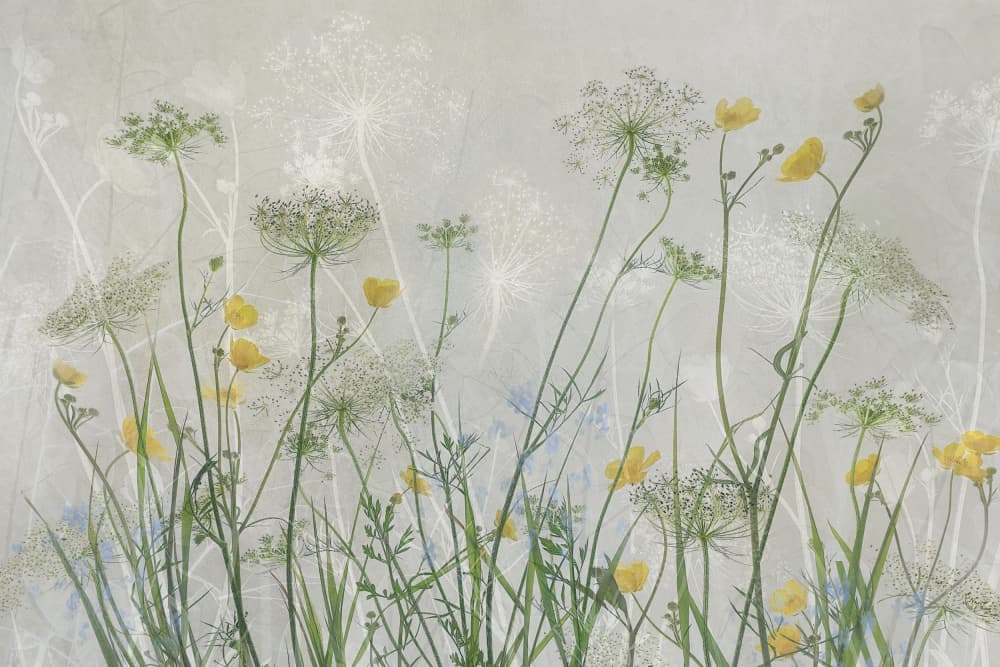 Sweet bouquet by Nel Talen — canvas wall art
