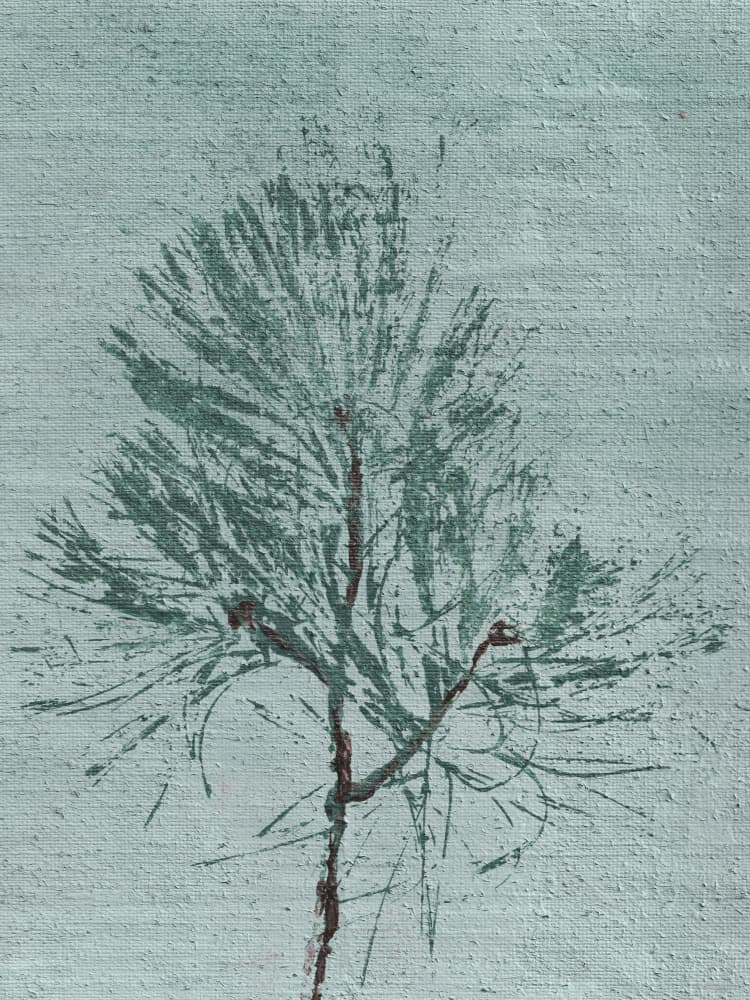 Serene Pine Tree by Maira Ribena — canvas wall art
