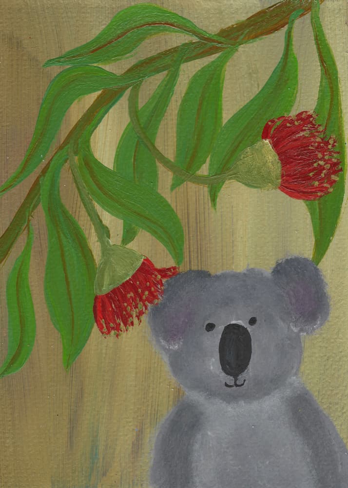 Cute Koala Gum Blossoms by Janine Brewster — canvas wall art