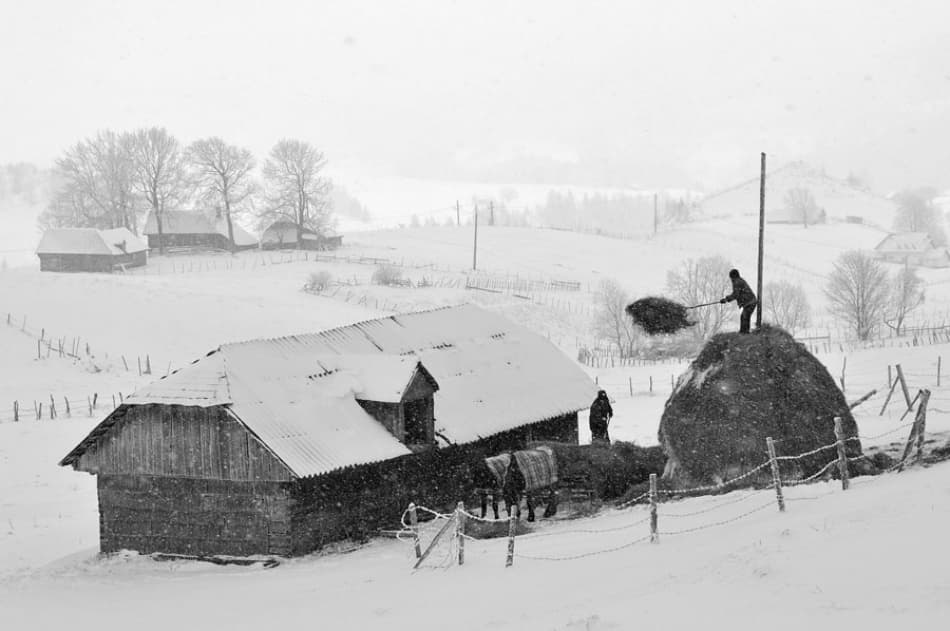 Snowy Farm Work by Vlad Dumitrescu — canvas wall art