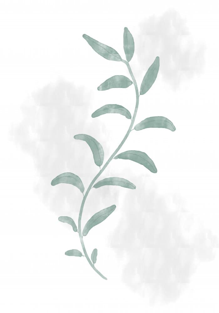 Green Botanical Whisper by Old Artists Studio II — canvas wall art