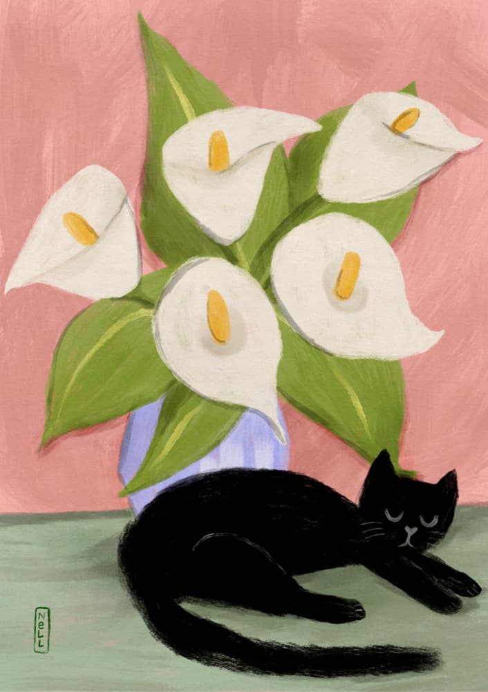 Lilies In a Vase and a Black Cat  - Still Life Illustration by Dirkie Nell — canvas wall art