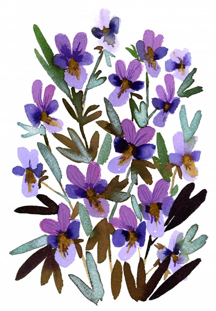 Watercolor Purple Blooms by Rosana Laiz Blursbyai — canvas wall art