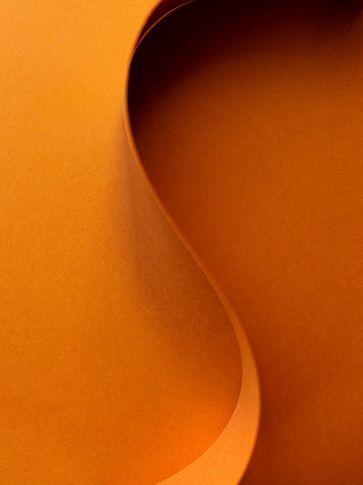 Soft flow - the Orange Wave by Raisa Zwart — canvas wall art