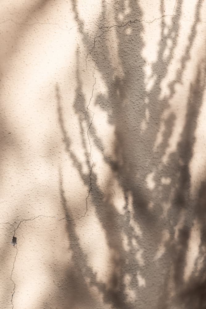 Summer Shadows 7 by Mareike Böhmer — canvas wall art