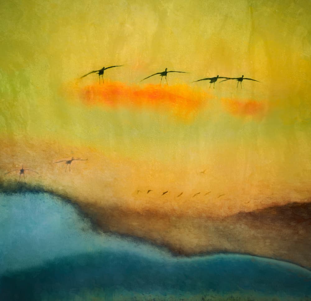 Golden Hour Bird Flight by Shenshen Dou — canvas wall art