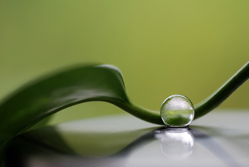 Serene Water Droplet by Heidi Westum — canvas wall art