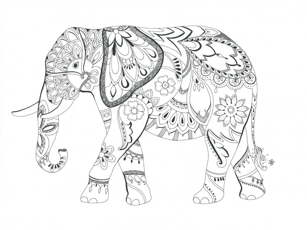 Elephant Mandala by Isabelle Brent — canvas wall art