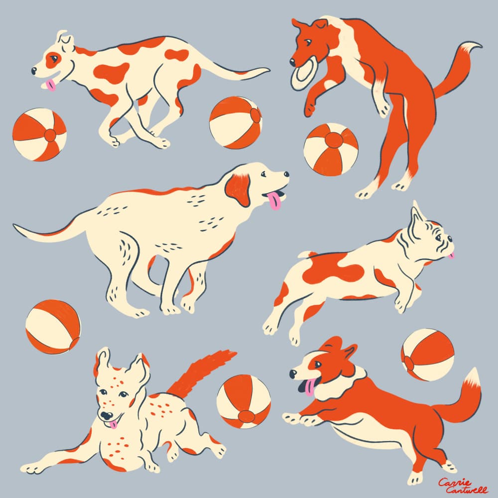 Dog Days by Carrie Cantwell — canvas wall art