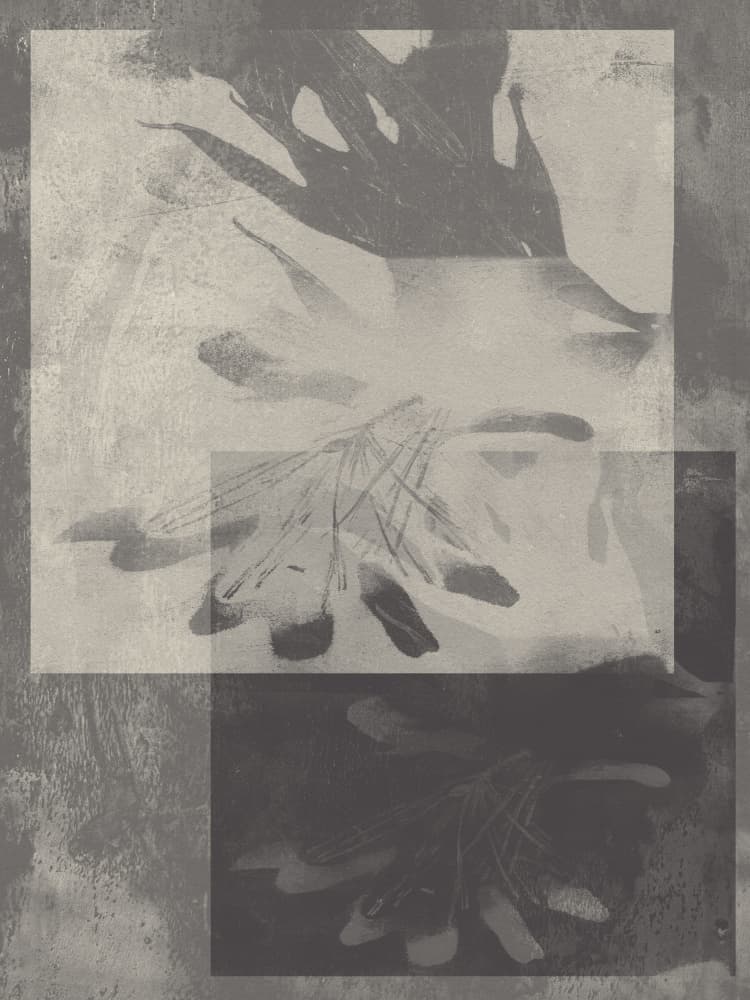 Abstract Grey Botanicals by Dina Dankers — canvas wall art