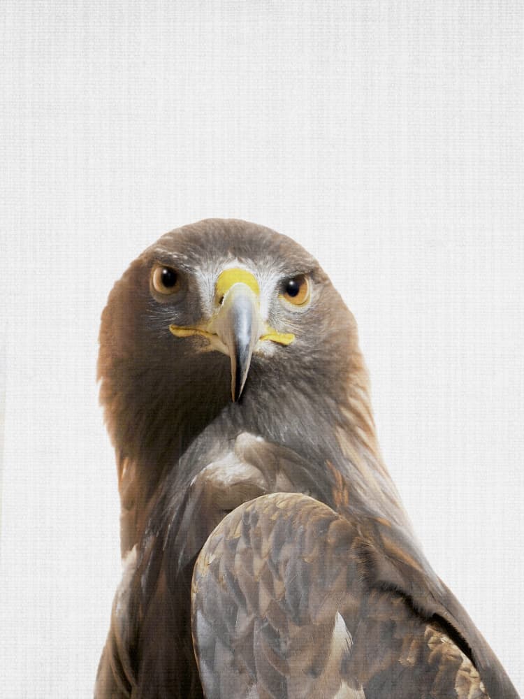 Majestic Golden Eagle Portrait by Lila &amp; Lola — canvas wall art