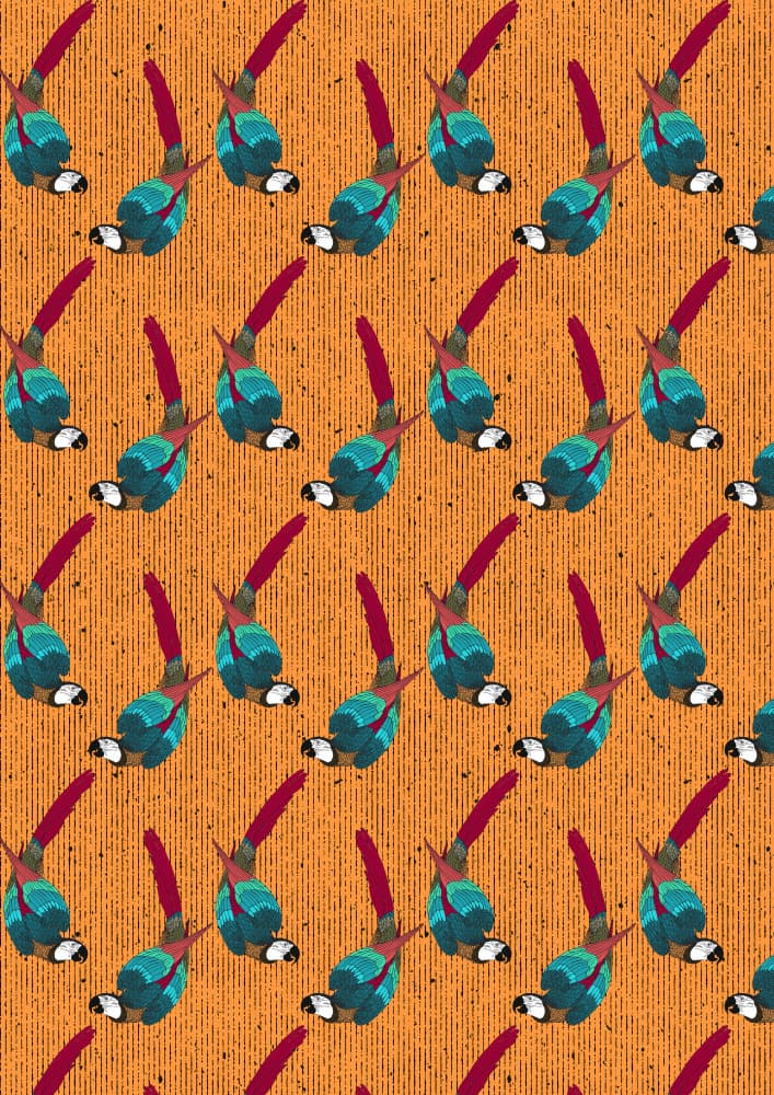 Tropical Macaw Pattern by Nicholas — canvas wall art